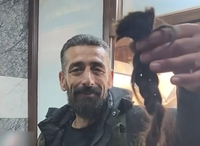 מתוך התיעוד