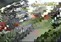 נשיא קובה - במהלך התרגיל