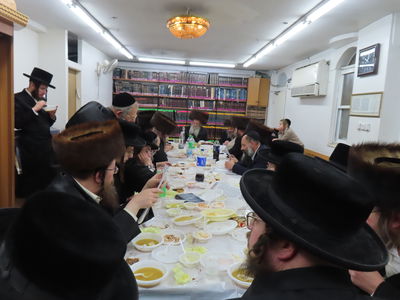 ז' שבט בלעלוב בראנוביץ