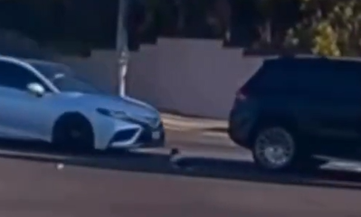 התינוק מוטל על הכביש