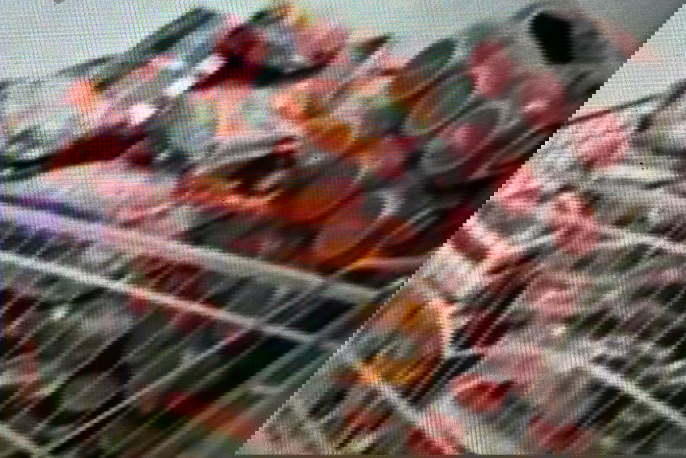 חשב שלא שמים לב: נכנס לסופרמרקט בעיר החרדית ויצא עם עגלה גנובה | תיעוד