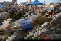 מבצע לב אמיץ