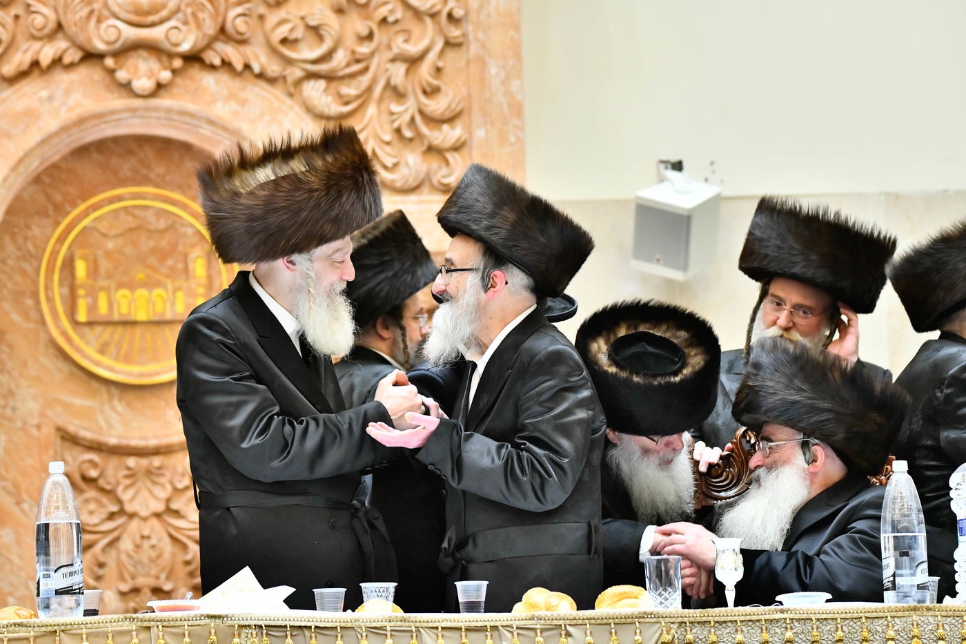 שמחת בית ויז'ניץ