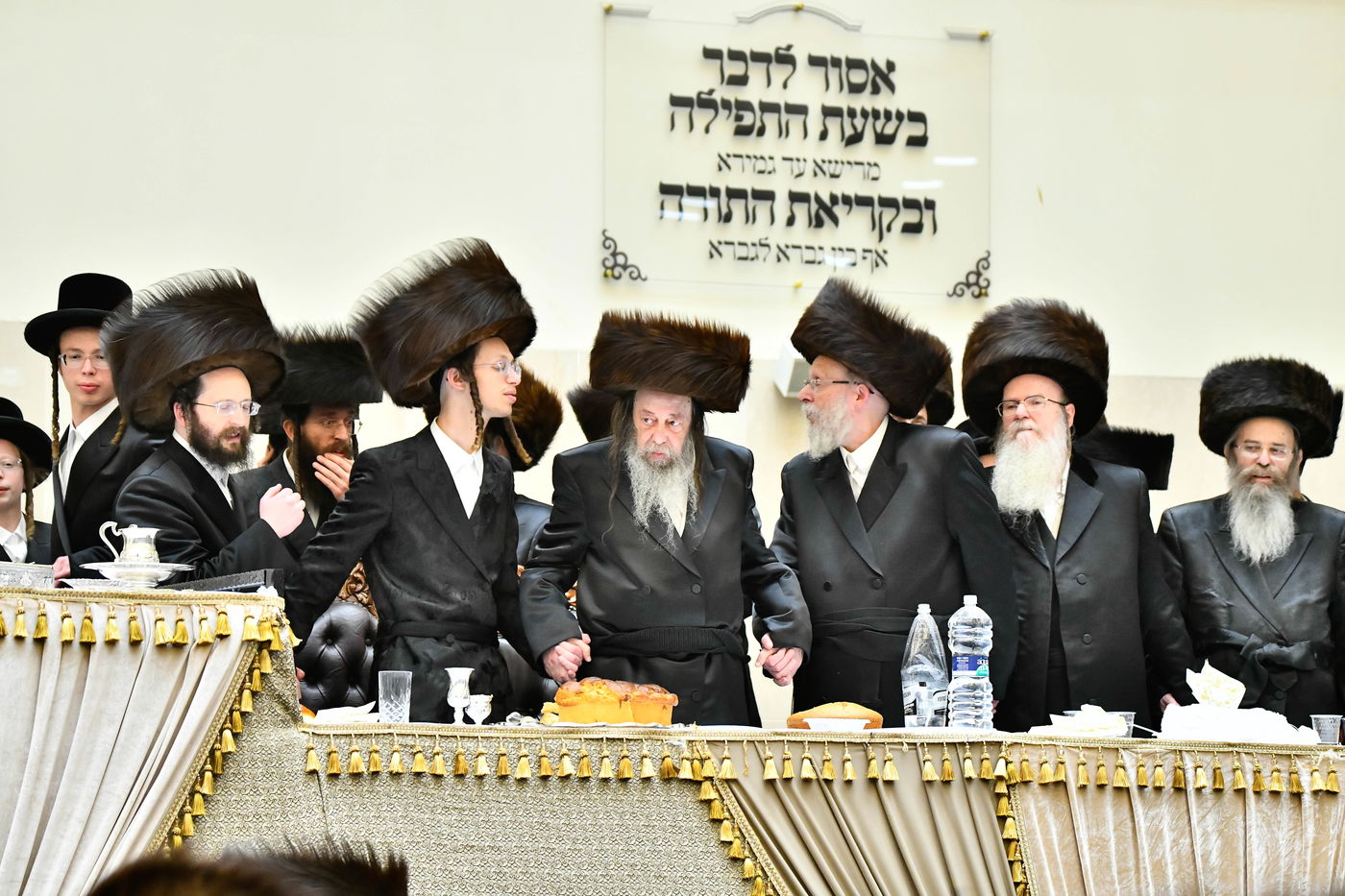 שמחת בית ויז'ניץ