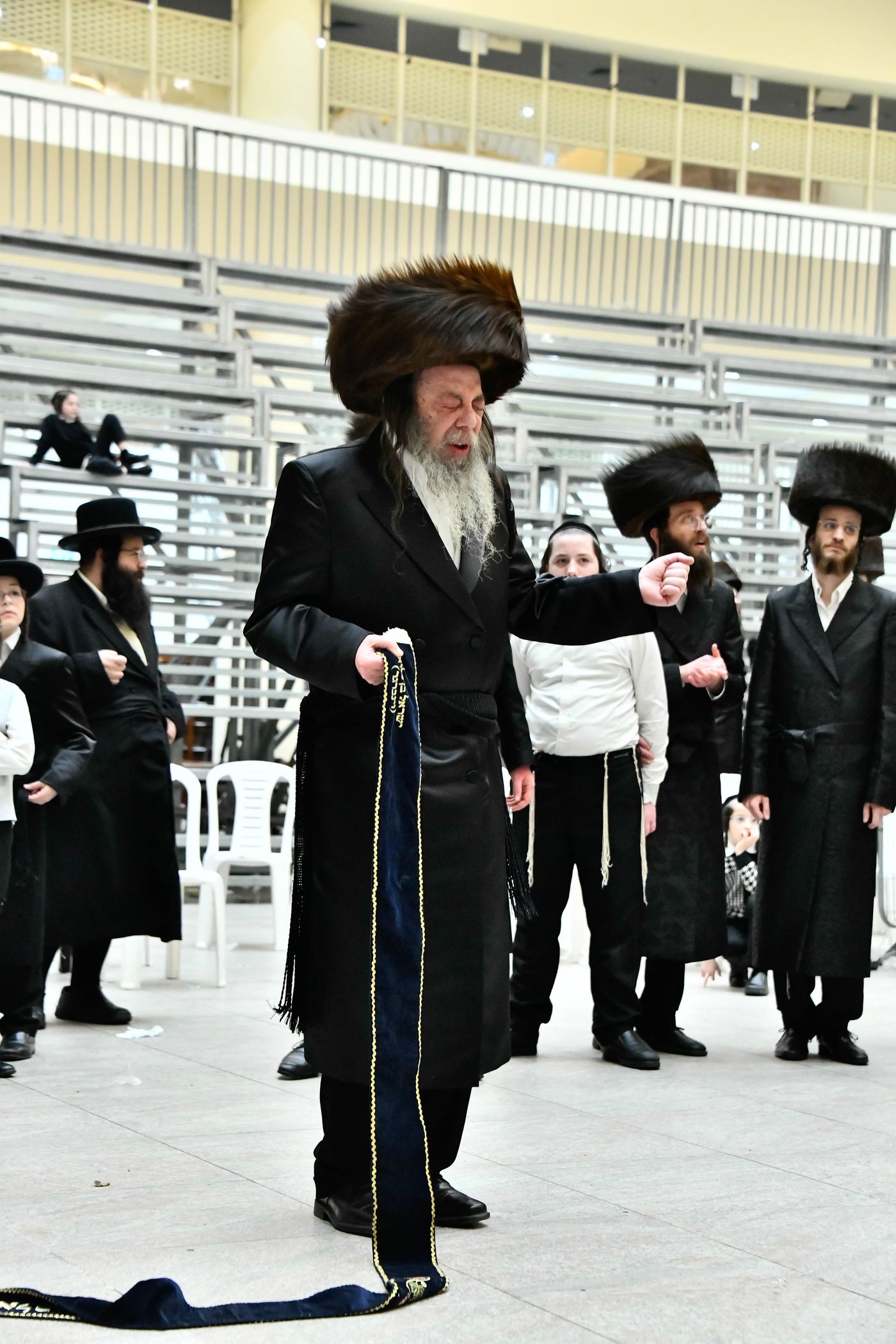 שמחת בית ויז'ניץ