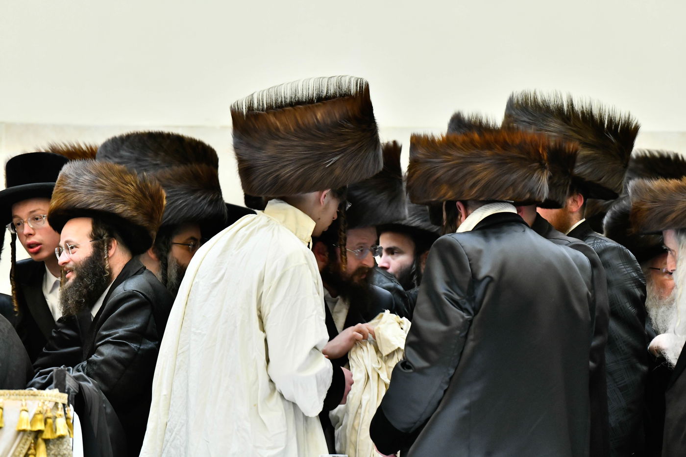 שמחת בית ויז'ניץ