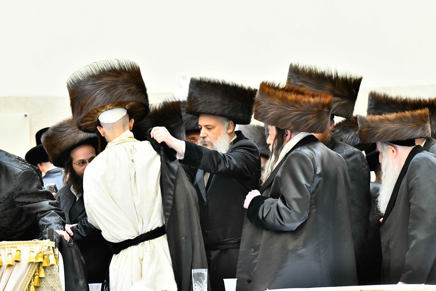 שמחת בית ויז'ניץ