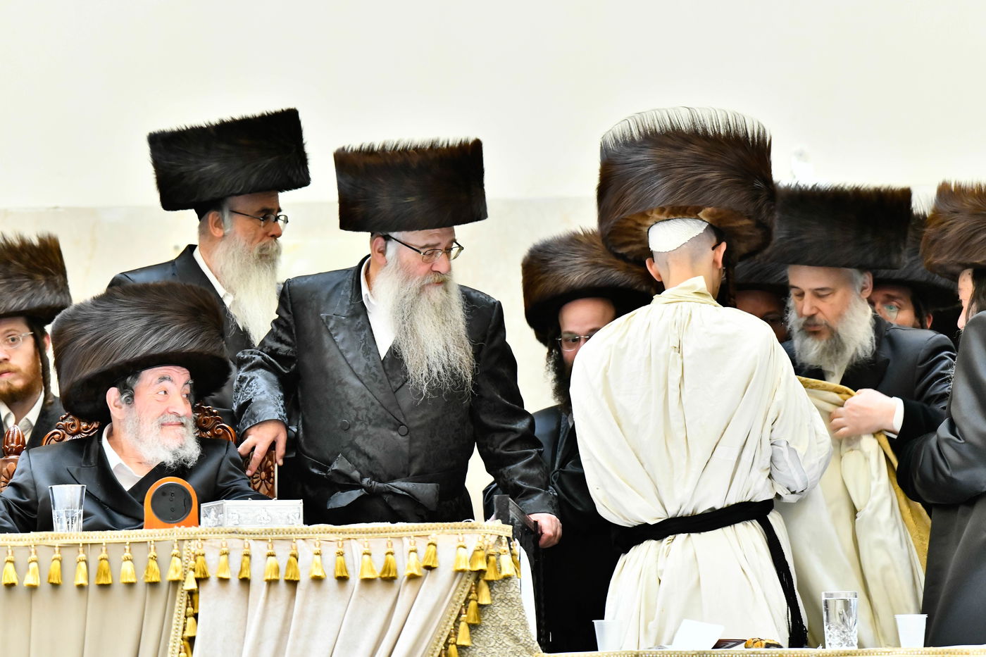 שמחת בית ויז'ניץ