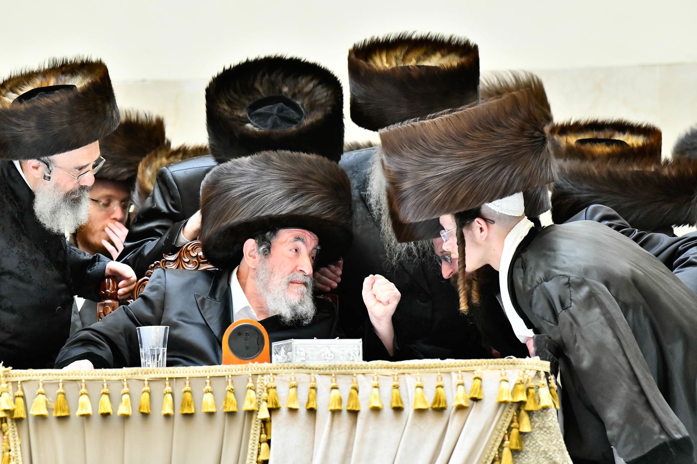 שמחת בית ויז'ניץ