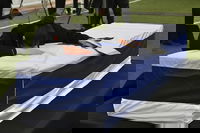 האחות על קבר אחיה