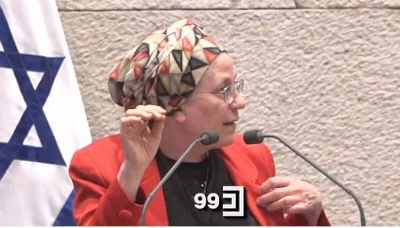 סטרוק הודיעה במליאה: אני לא מסירה בינתיים את הסיכה מדש הבגד