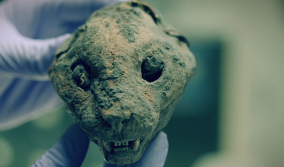 ראש של חתול חנוט מהמקדש הסמוך לבני חסן