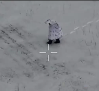 הפינגווין של פוטין: הניסיון הנואש להסתתר מהמל"ט האוקראיני - צפו