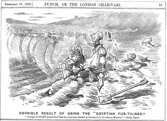 הקריקטורה שהופיע ב-PUNCH