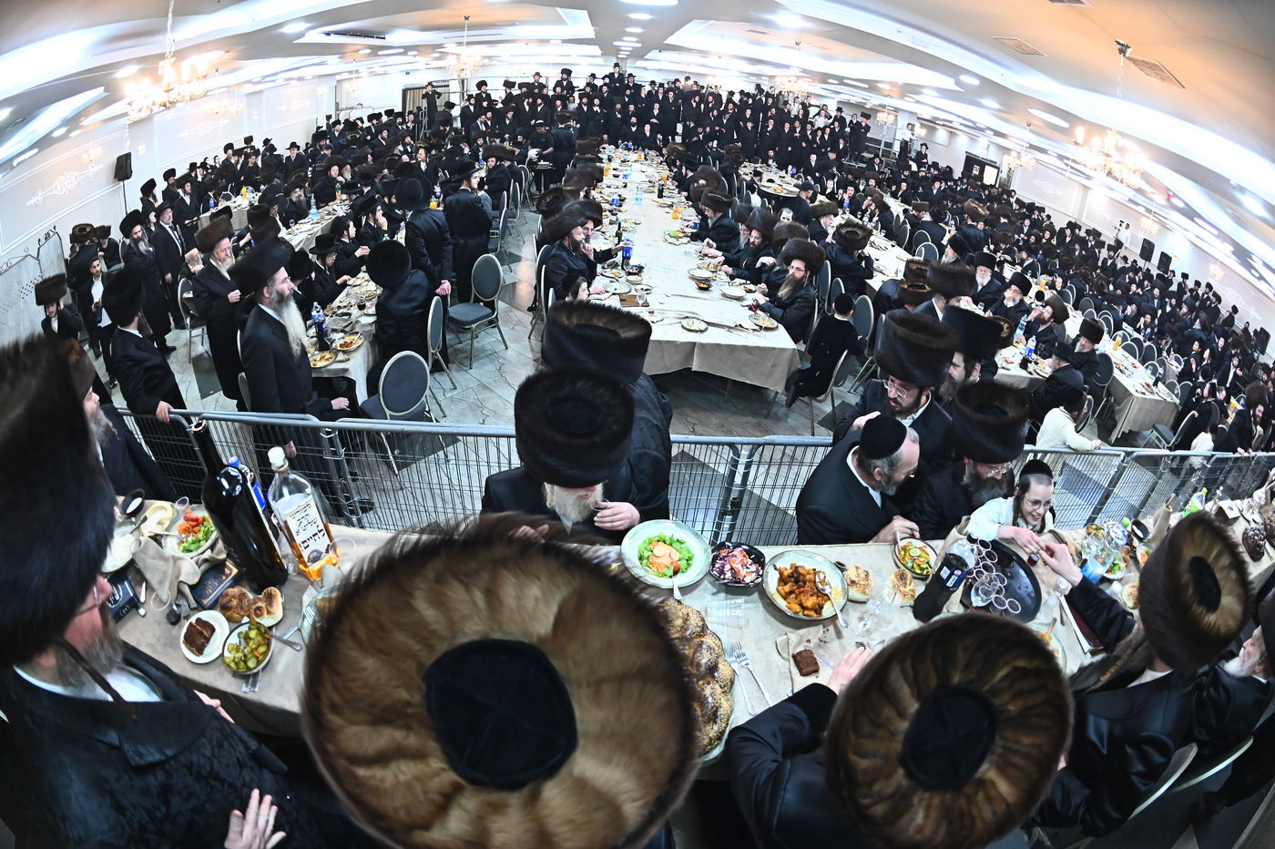 שמחת בית סטריקוב - מאור החיים