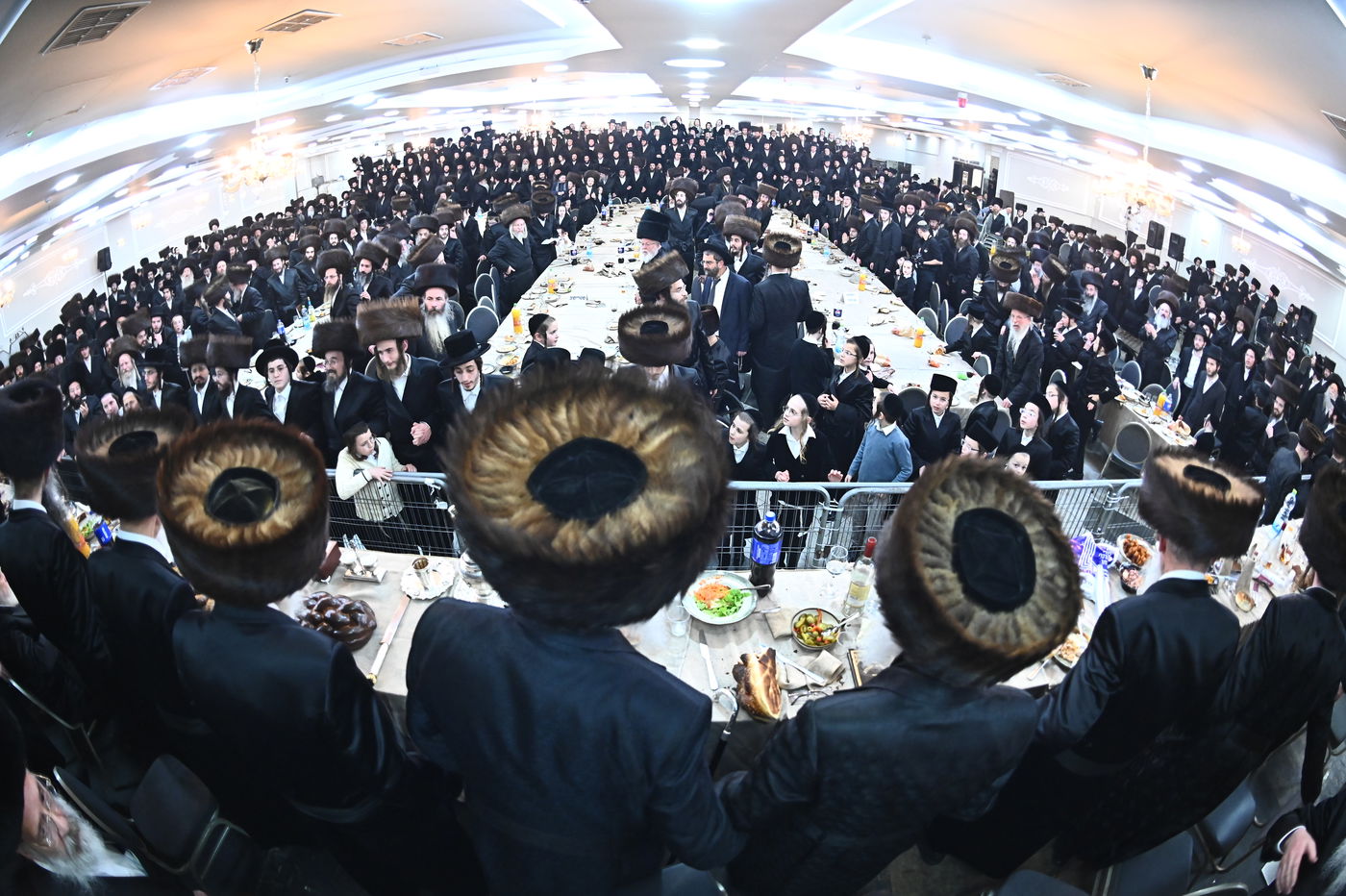 שמחת בית סטריקוב - מאור החיים