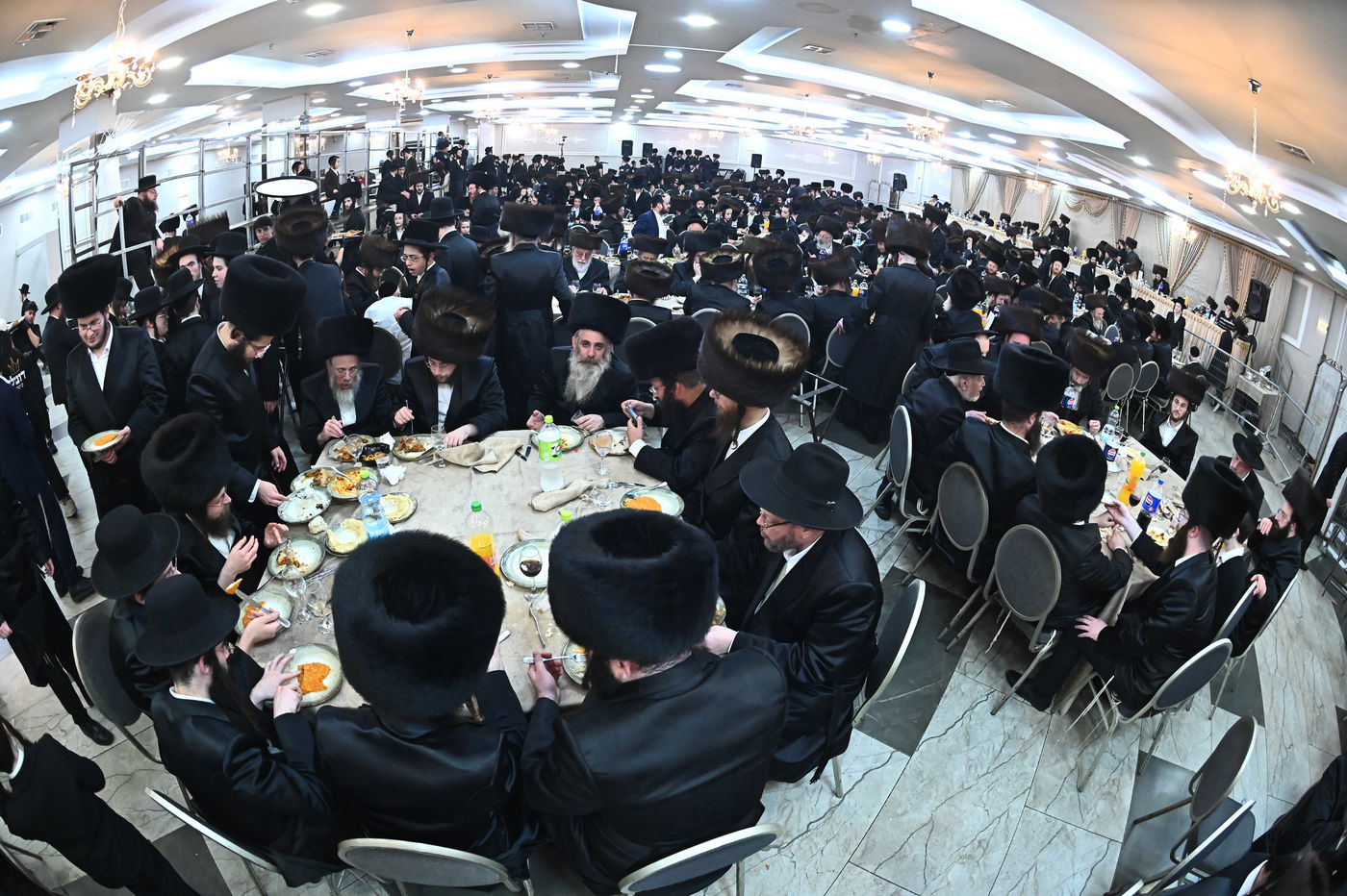 שמחת בית סטריקוב - מאור החיים