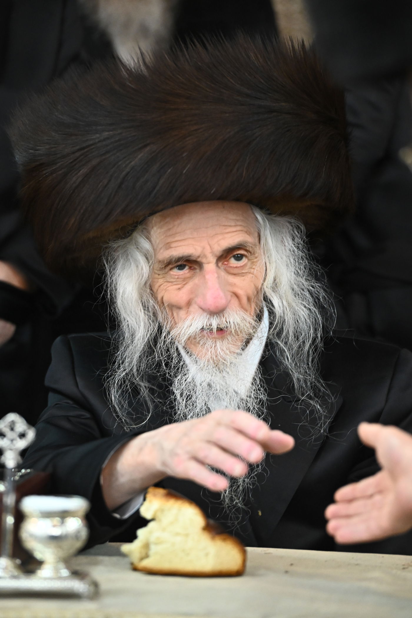 שמחת בית סטריקוב - מאור החיים