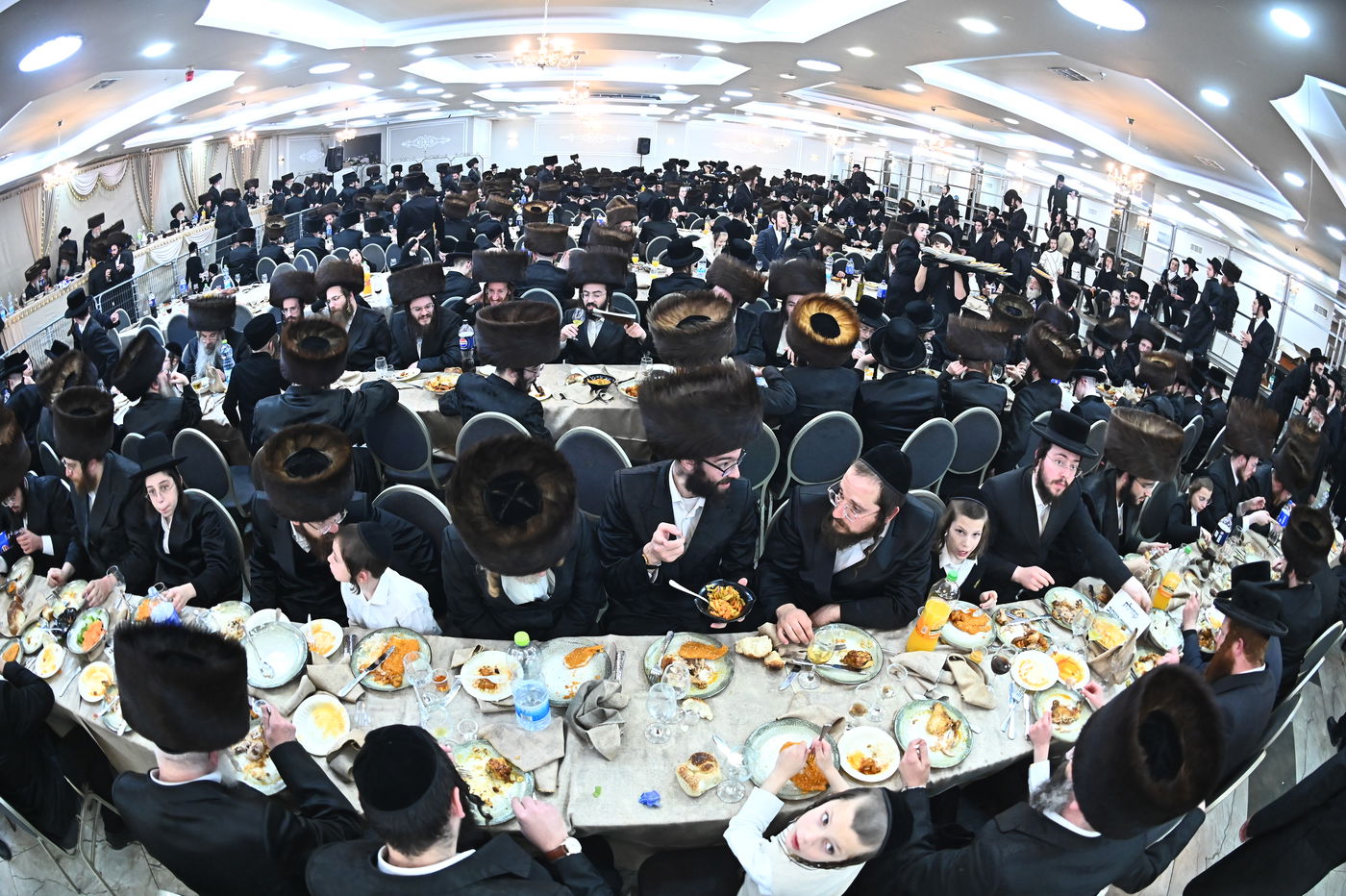 שמחת בית סטריקוב - מאור החיים