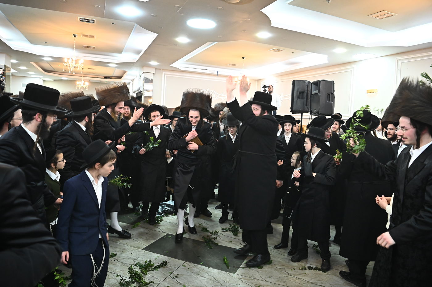 שמחת בית סטריקוב - מאור החיים