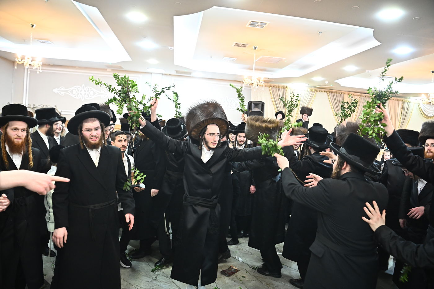 שמחת בית סטריקוב - מאור החיים