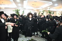 שמחת בית סטריקוב - מאור החיים