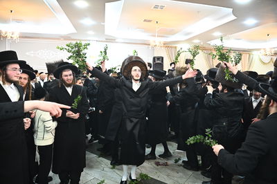 שמחת בית סטריקוב - מאור החיים