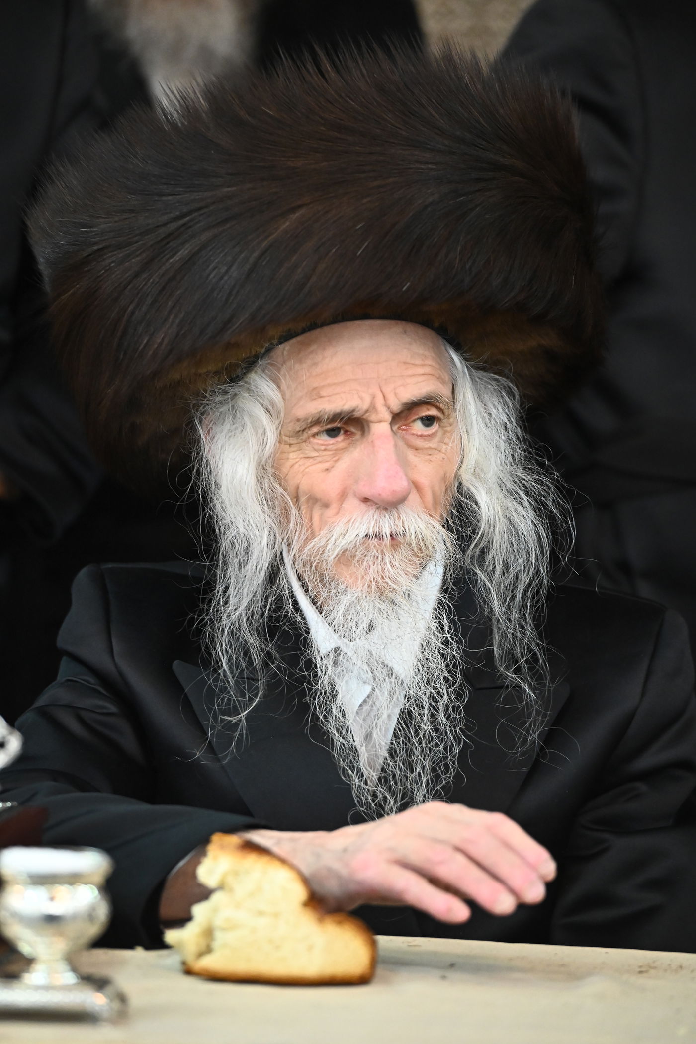 שמחת בית סטריקוב - מאור החיים