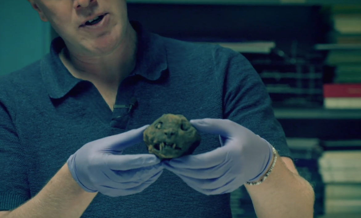 חוקר בריטי מציג את האחת מהמומיות שנשתמרה מאותו הקבר