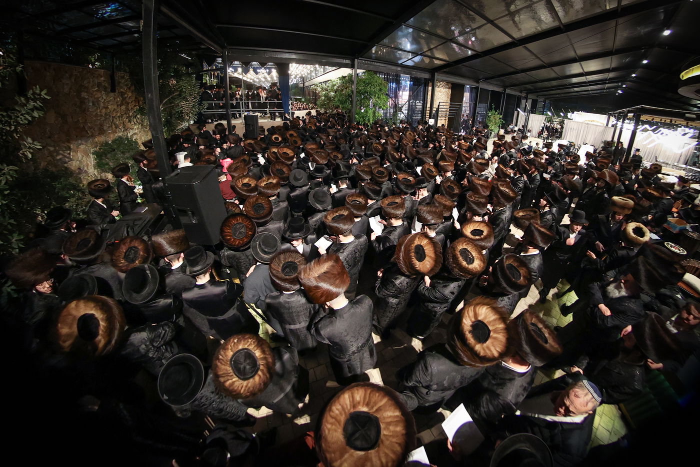 שמחת בית זוויעהיל - פינסק קרלין - טרעבישאן