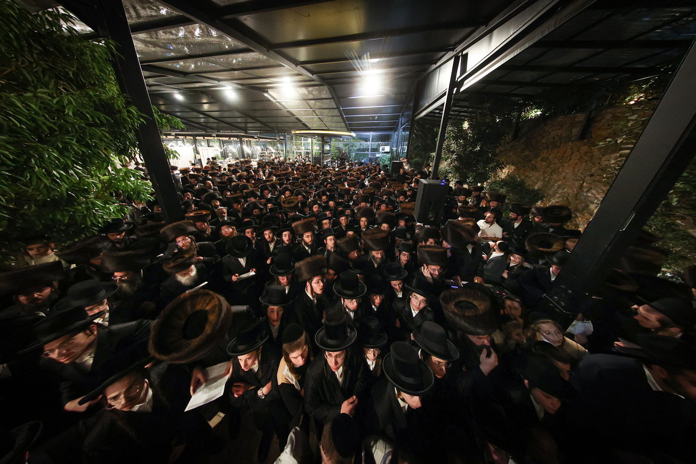 שמחת בית זוויעהיל - פינסק קרלין - טרעבישאן