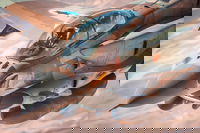 המטרה: עליונות אווירית בשמי איראן; ארה"ב תלמד מההישג הישראלי?