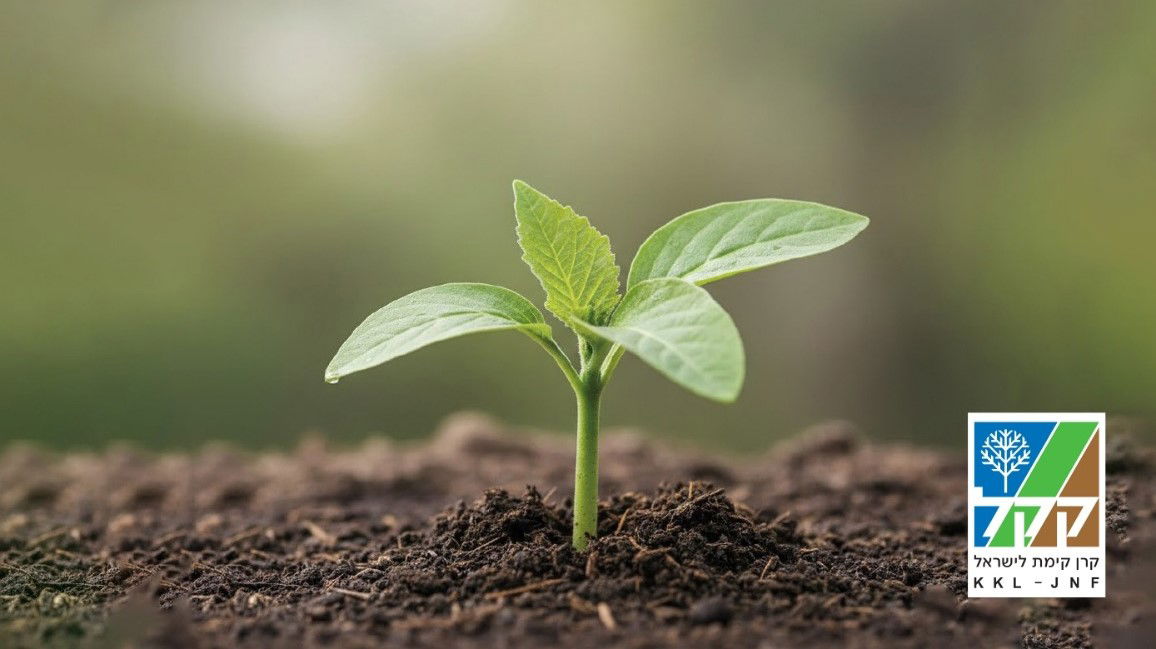 חג האילנות ביערות, בפארקים ובקהילה - אירועי ט"ו בשבט עם קק"ל