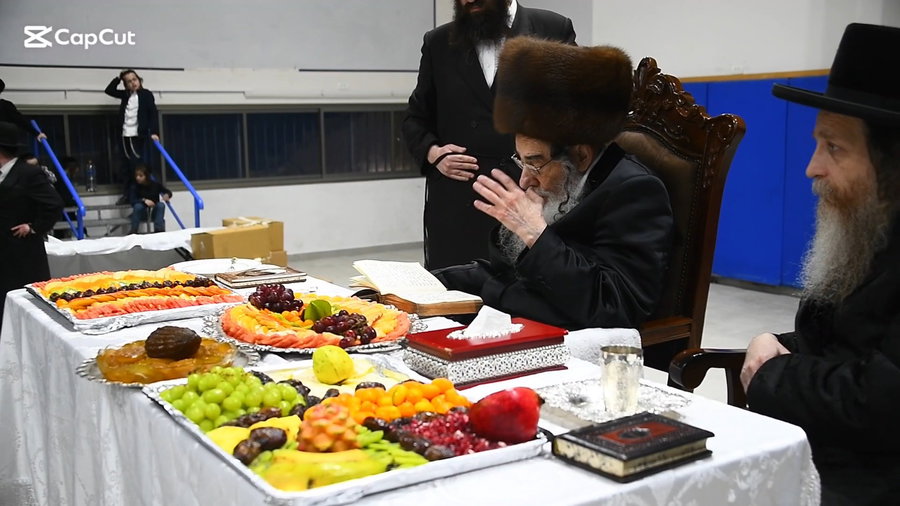 האדמו"ר מאלכסנדר בטיש ט"ו בשבט