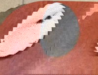 הכיפה שנמצאה