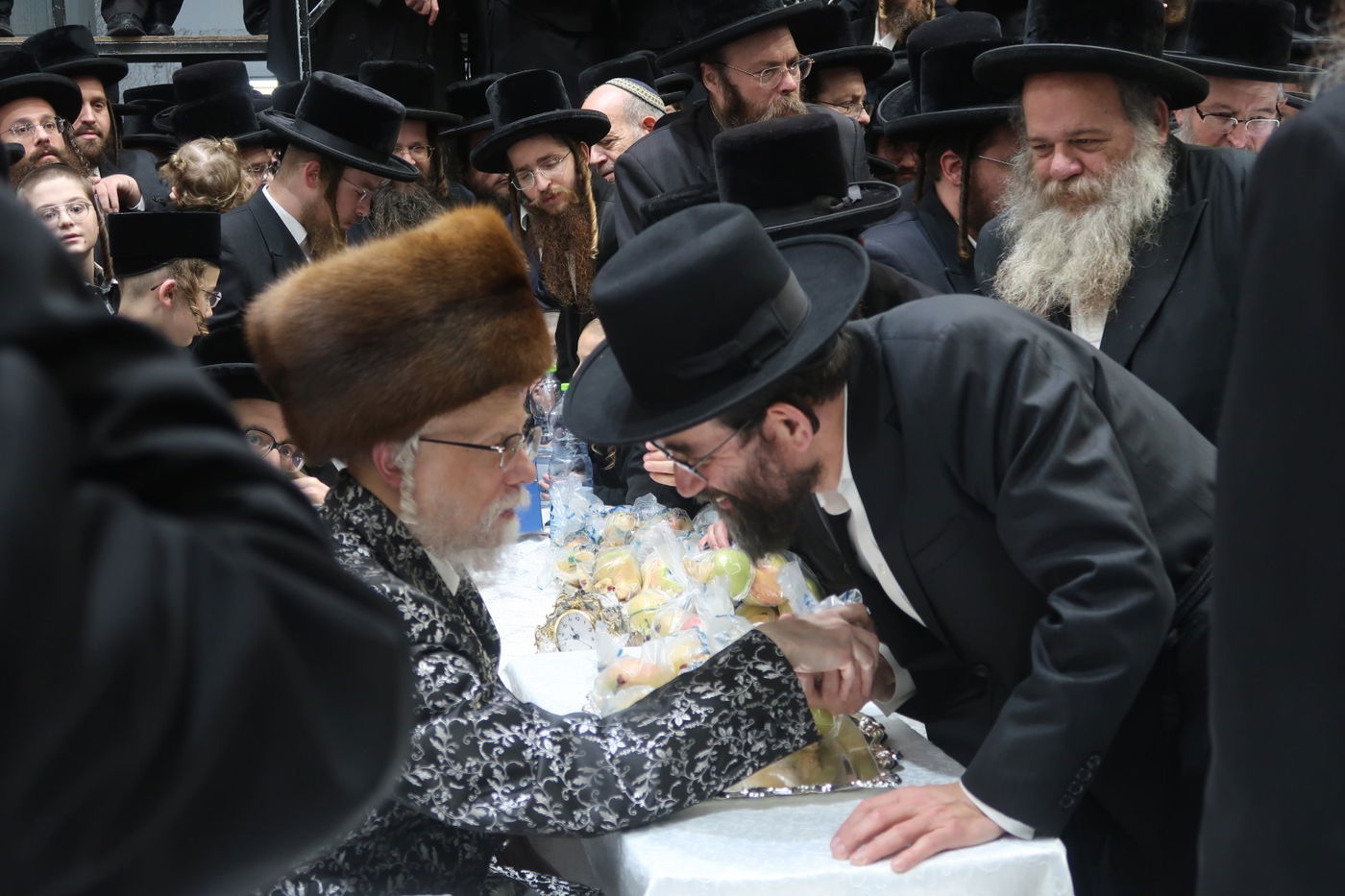 האדמו"ר מסערט ויז'ניץ בטיש ט"ו בשבט