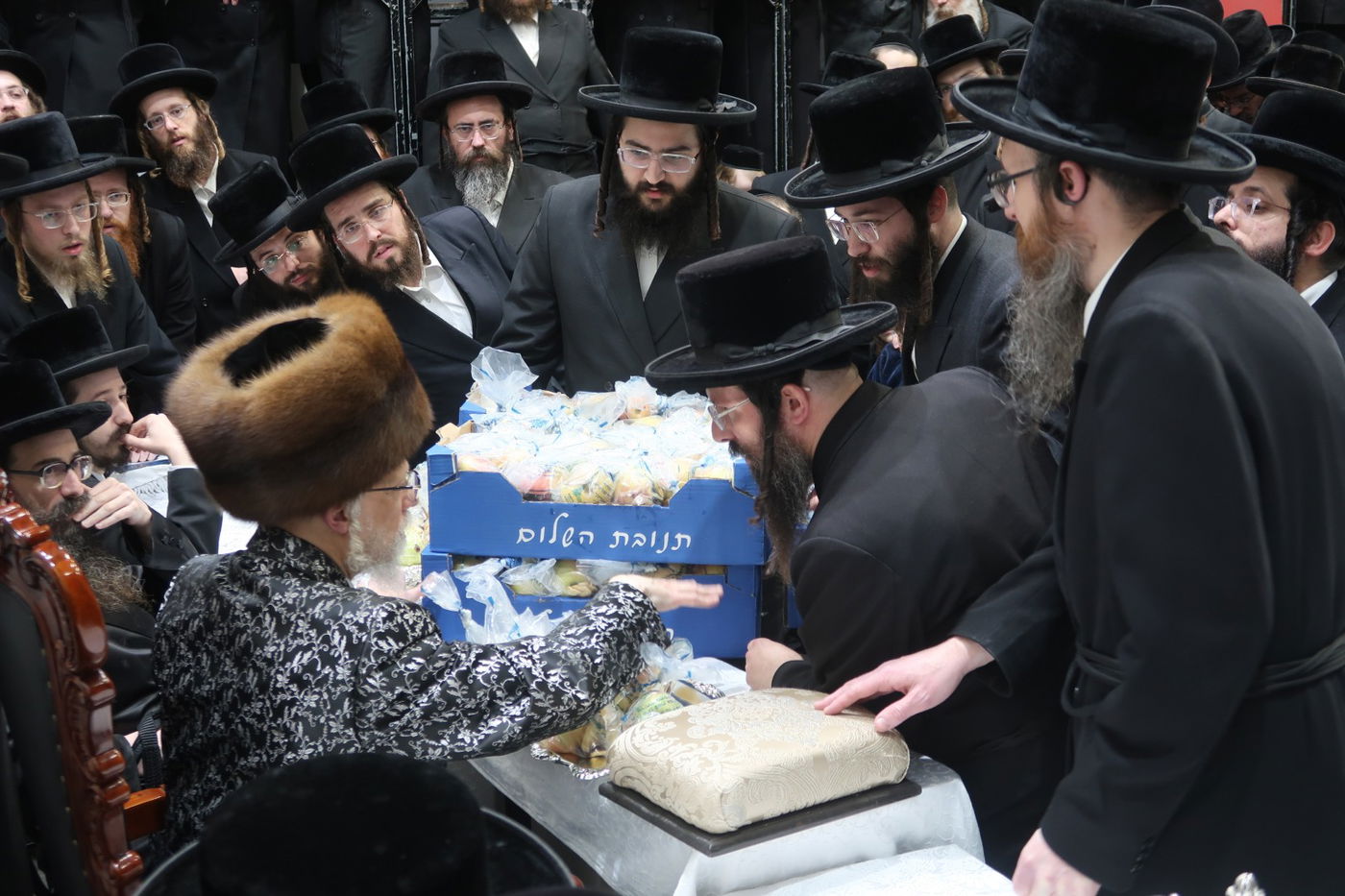 האדמו"ר מסערט ויז'ניץ בטיש ט"ו בשבט