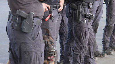 פשיטה משולבת: כך תקפה המשטרה משפחות פשע