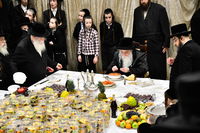 האדמו"ר ממחנובקא בעלזא בטיש ט"ו בשבט