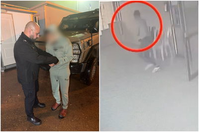 שדד באלימות תכשיטים מנשים מבוגרות - עד שנעצר | תיעוד