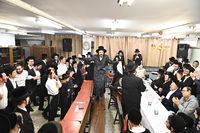 ט"ו בשבט במבקשי השם