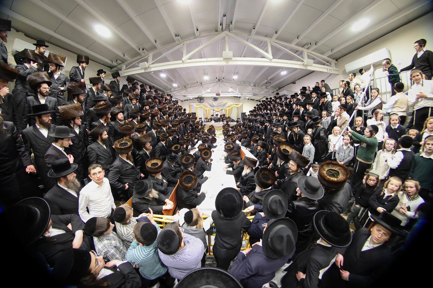 שבע ברכות בשילוב טיש ט"ו בשבט בזוועהיל