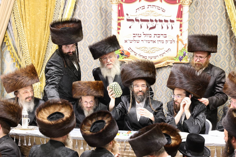 שבע ברכות בשילוב טיש ט"ו בשבט בזוועהיל