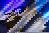 זאנוויל ויינברגר בסינגל חדש: "כנפי נשרים"