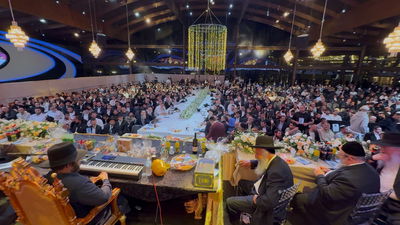 הינוקא בט"ו בשבט