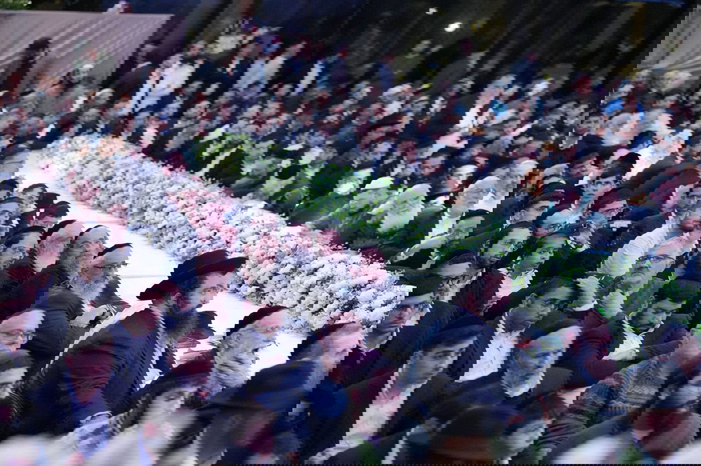 הינוקא בט"ו בשבט