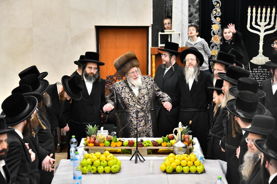 האדמו"ר מספינקא בטיש ט"ו בשבט