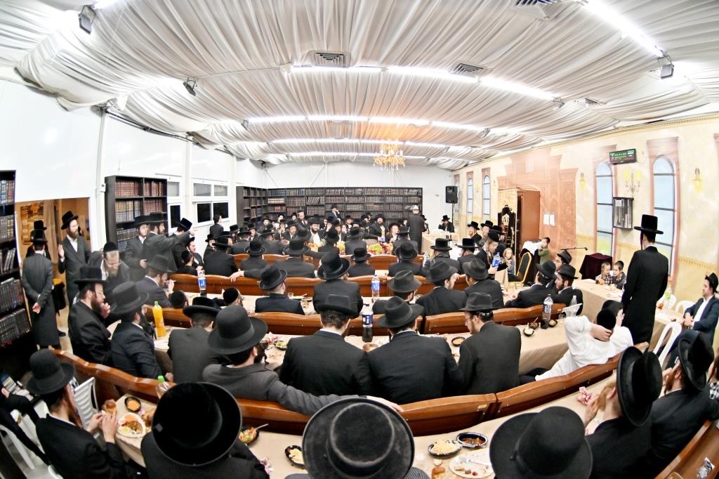 ט"ו בשבט בחצה"ק ספינקא בית שמש