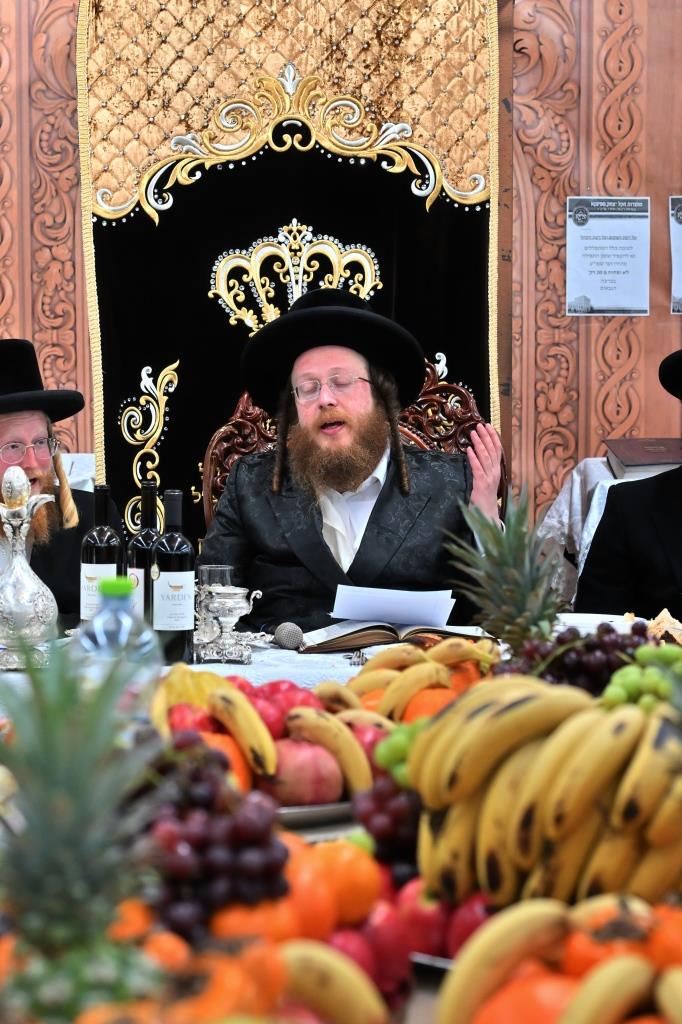 ט"ו בשבט בחצה"ק ספינקא בית שמש