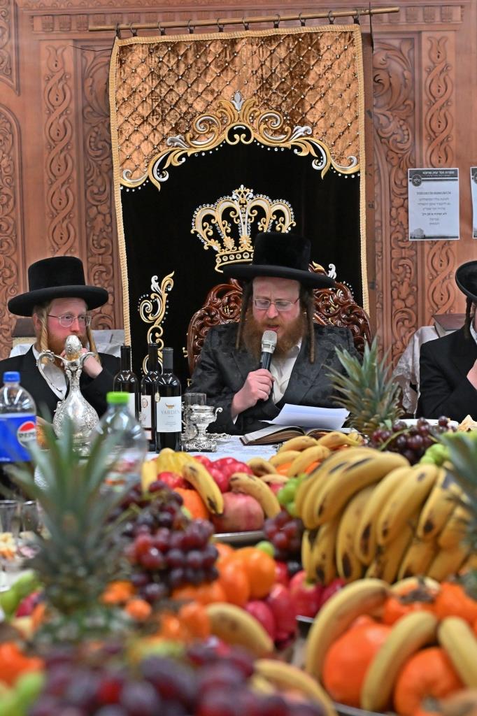 ט"ו בשבט בחצה"ק ספינקא בית שמש